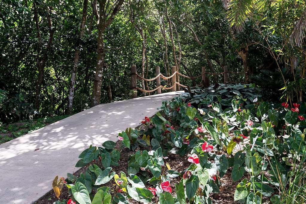 Belle Mont Sanctuary Resort - Kittitian Hill Basseterre Kültér fotó